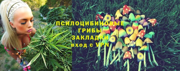 герыч Семилуки