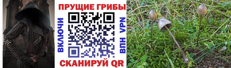 Галлюциногенные грибы ЛСД  даркнет формула  Юхнов 